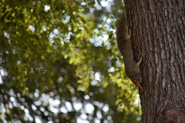 并以较大的 并以较大的